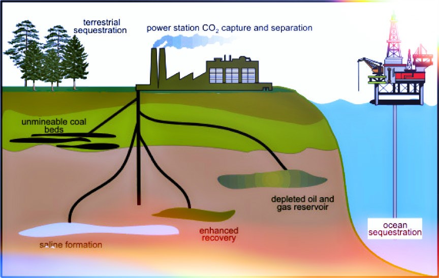 海洋碳汇与碳中和
